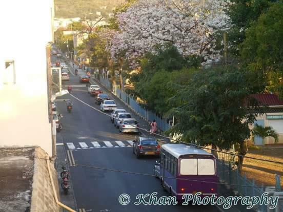 La Plaine Verte Guesthouse ปอร์ต หลุยส์ ภายนอก รูปภาพ